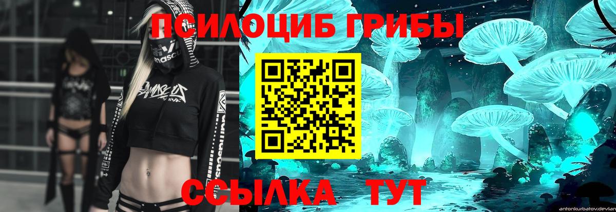 Псилоцибиновые грибы GOLDEN TEACHER Асино