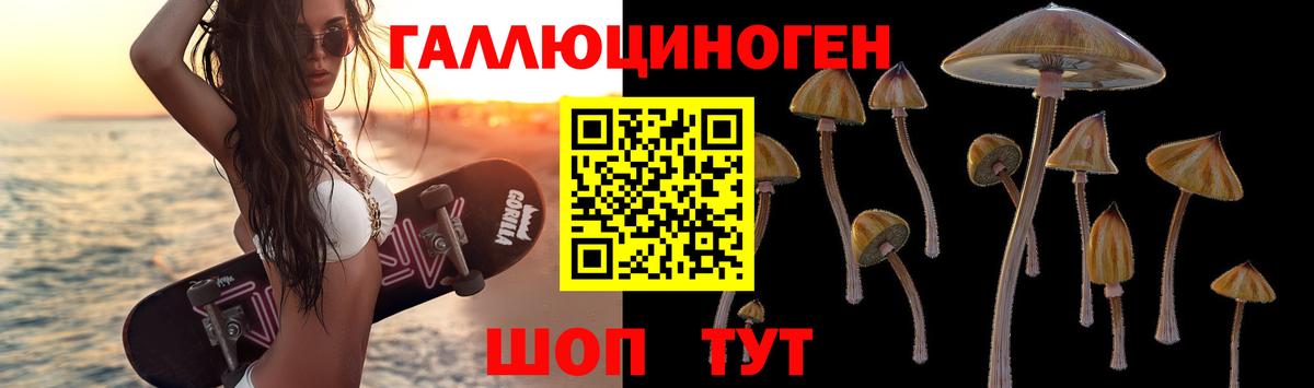 купить закладку  Псилоцибиновые грибы MAGIC MUSHROOMS  Галлюциногенные грибы мицелий  Вход с VPN  Асино 