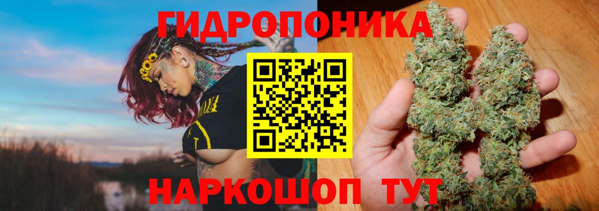 Канабис LSD WEED  Шишки марихуана сатива  Бошки Шишки план  Вход с VPN  МАРИХУАНА OG Kush  Асино 